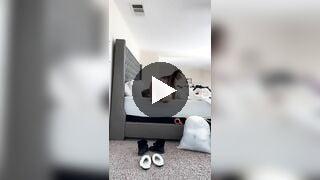 Alahna Ly ONLYFANS Leaked 3
