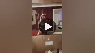 Bruna Trainer / brunatrainer Nude Leaked Video #18 - Fapello
