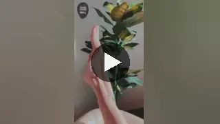 blackmango.mary Nude Leaked OnlyFans Video #85